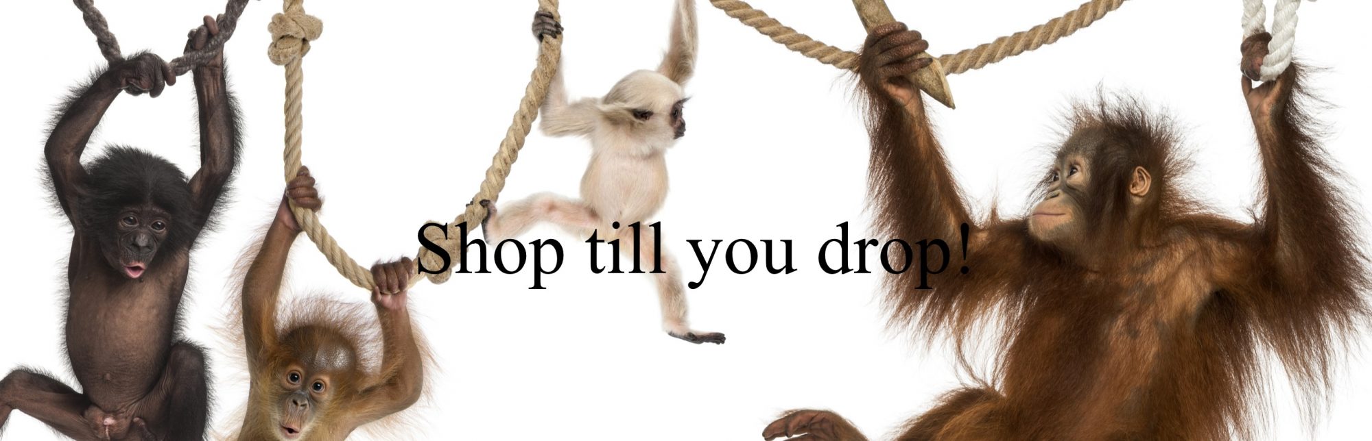 The Tacky Monkey – re-purpose for a purpose!
